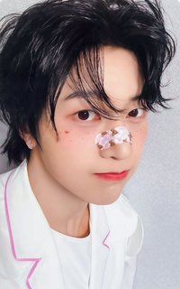 迷五 am 特典卡 動物創可貼ver.