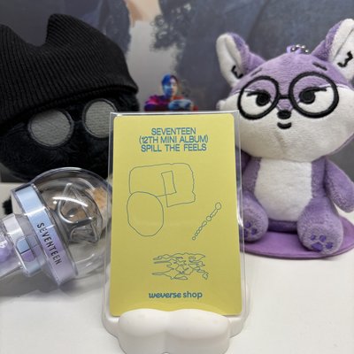 🐻‍❄️瀚率VERNON｜MINI12｜wvs｜PB ver｜特典卡 ｜迷12