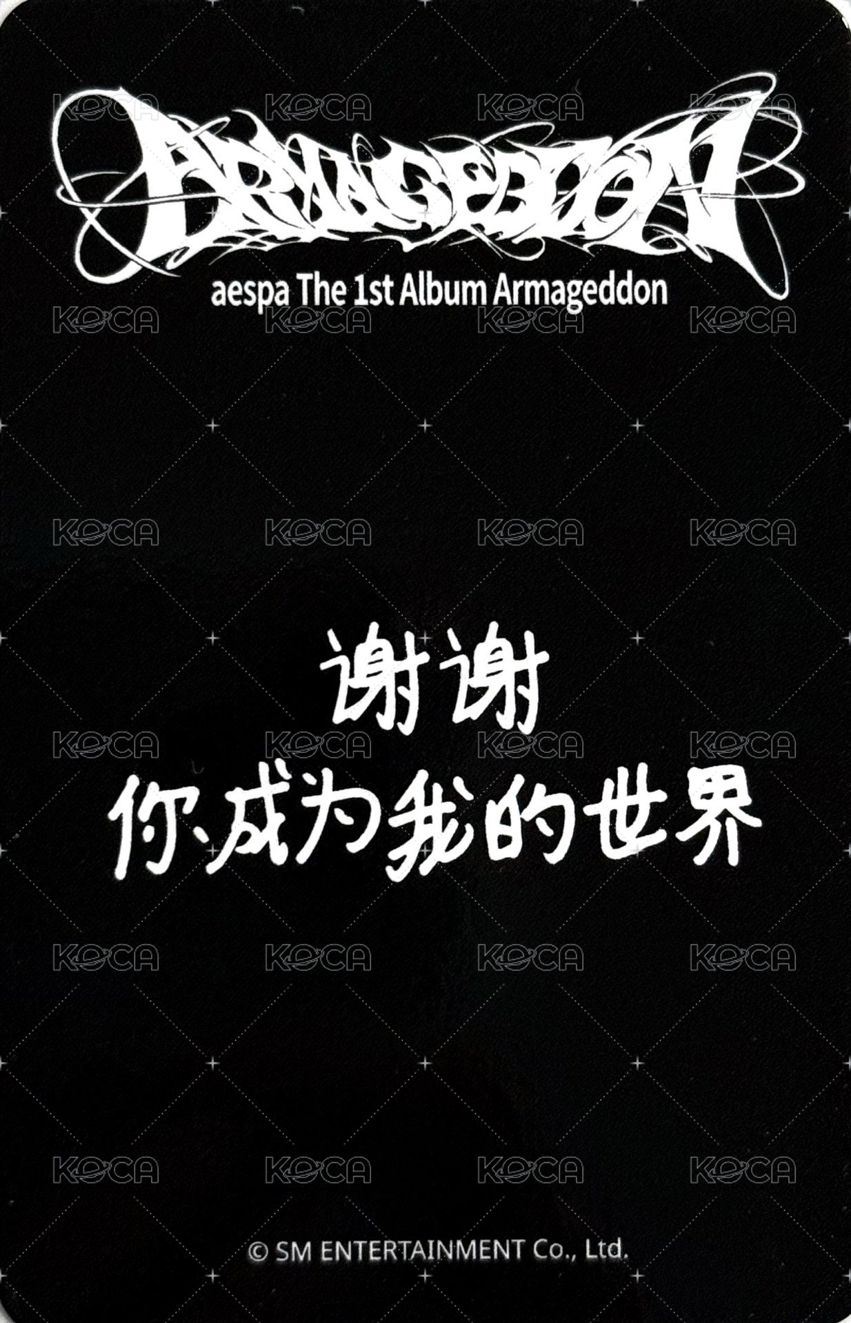 正規一 sr 特典卡 星河預售a柚 背面