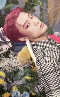 FEVER再版專 專輯卡 