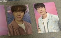 seventeen love 自拍小卡（下單前私訊成員）