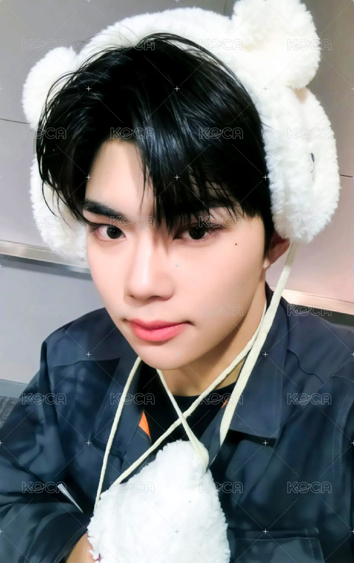 迷二 ms 特典卡 北極熊 ver. 正面