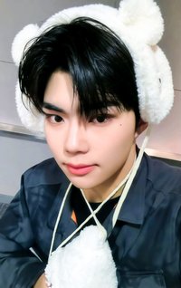 迷二 ms 特典卡 北極熊 ver.