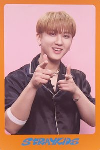 DICON D'FESTA 雜誌卡 