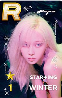 正規一 遊戲卡 STAR+ING冬