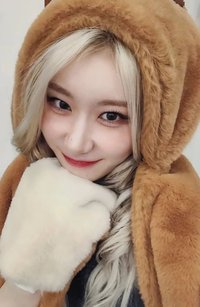 GOLD ms 上海 簽售卡 卡皮巴拉