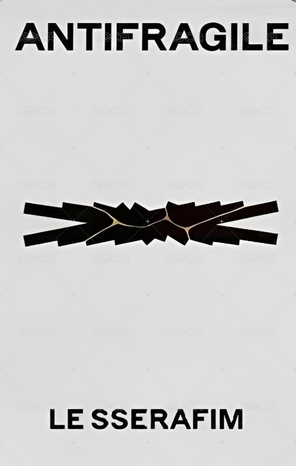 迷二 yes24 預售 特典卡 普卡 背面