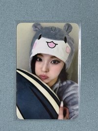 倉鼠圭