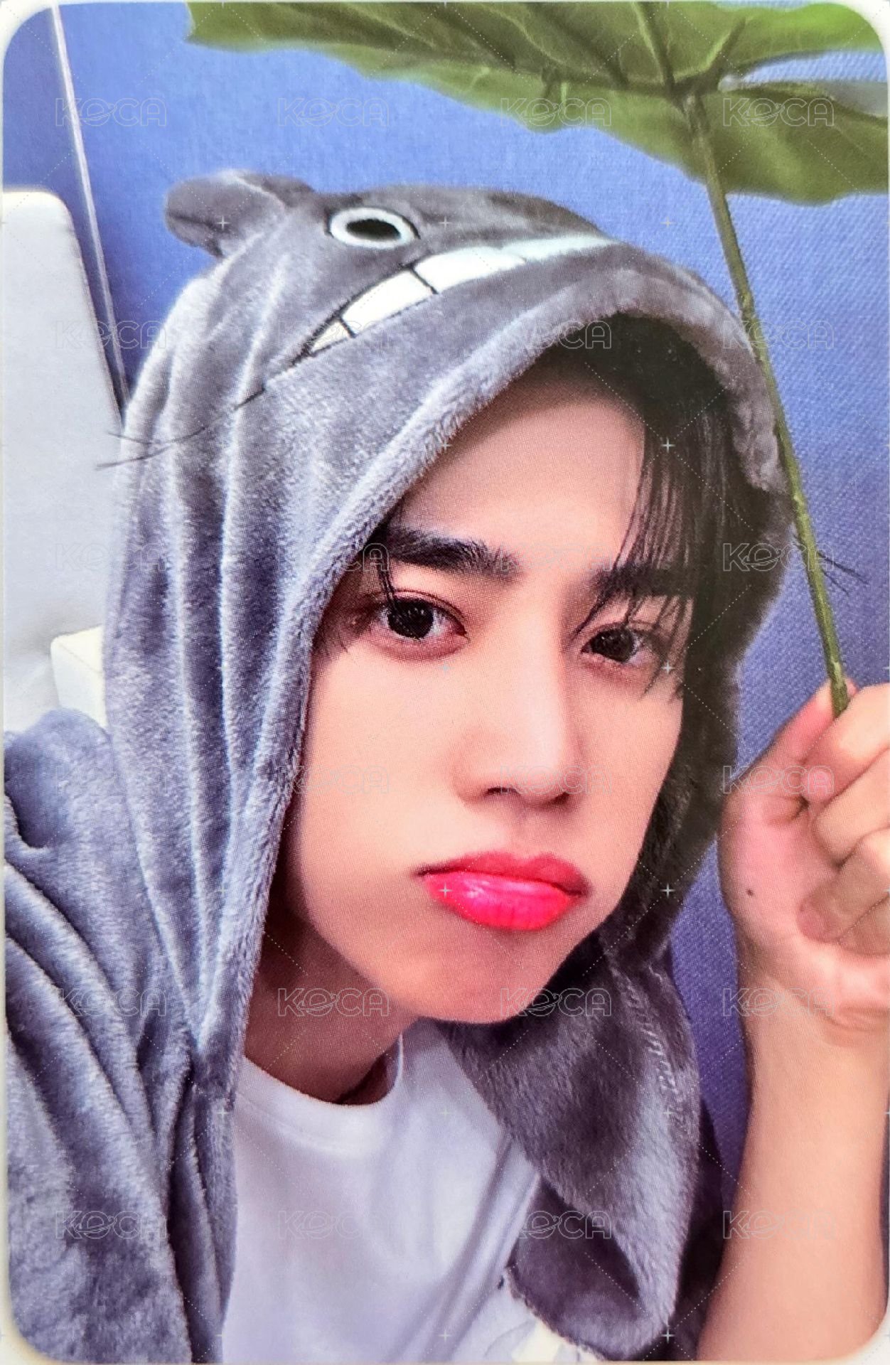 PHANTASY Pt.1 Christmas In August el 1.0 week2 幸運卡  正面