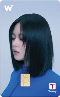 WOWPASS 交通卡 wowpass