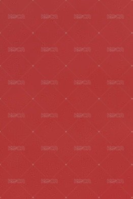 rosie 專輯卡  背面