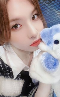 expérgo ms 幸運卡 海豚