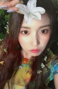 仲夏夜 jyp 預售 特典卡 