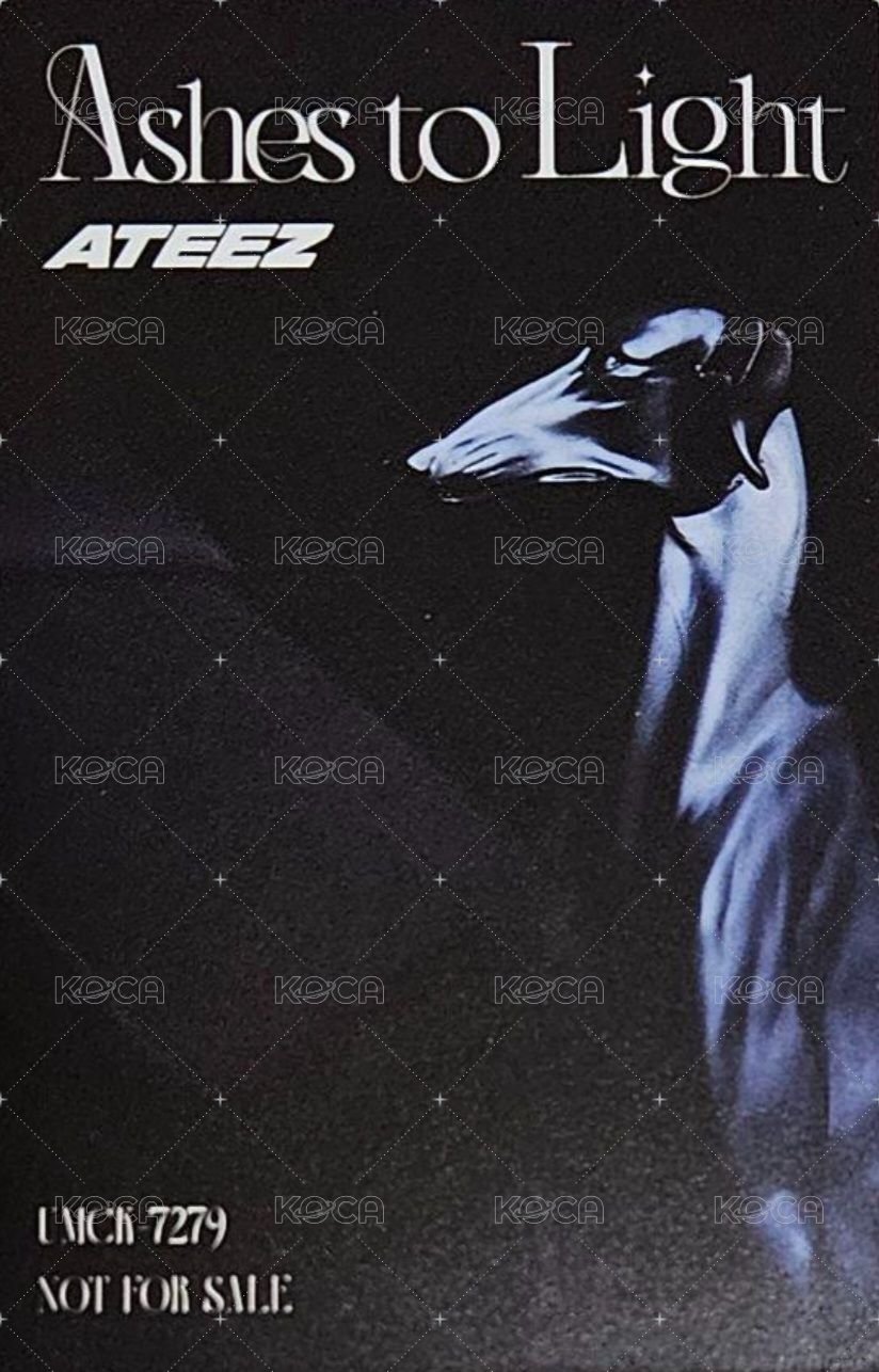 Ashes to Light 專輯卡 初回盤 背面