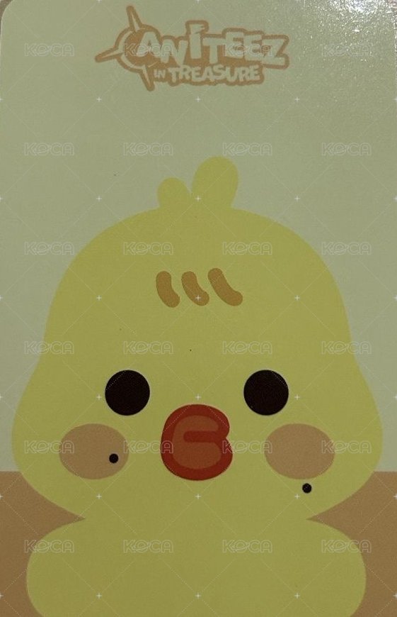 ANITEEZ IN TREASURE 周邊卡 FLAT FUR PLUSH 背面