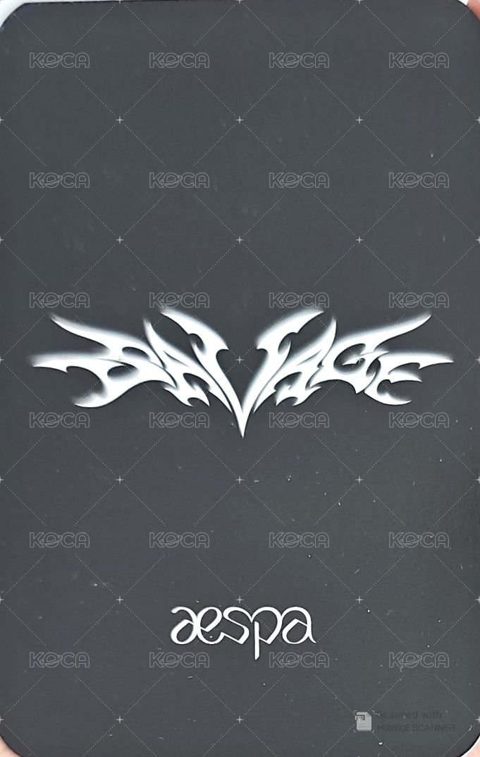 Savage 專輯卡 美網盒子 蘆葦柚 背面