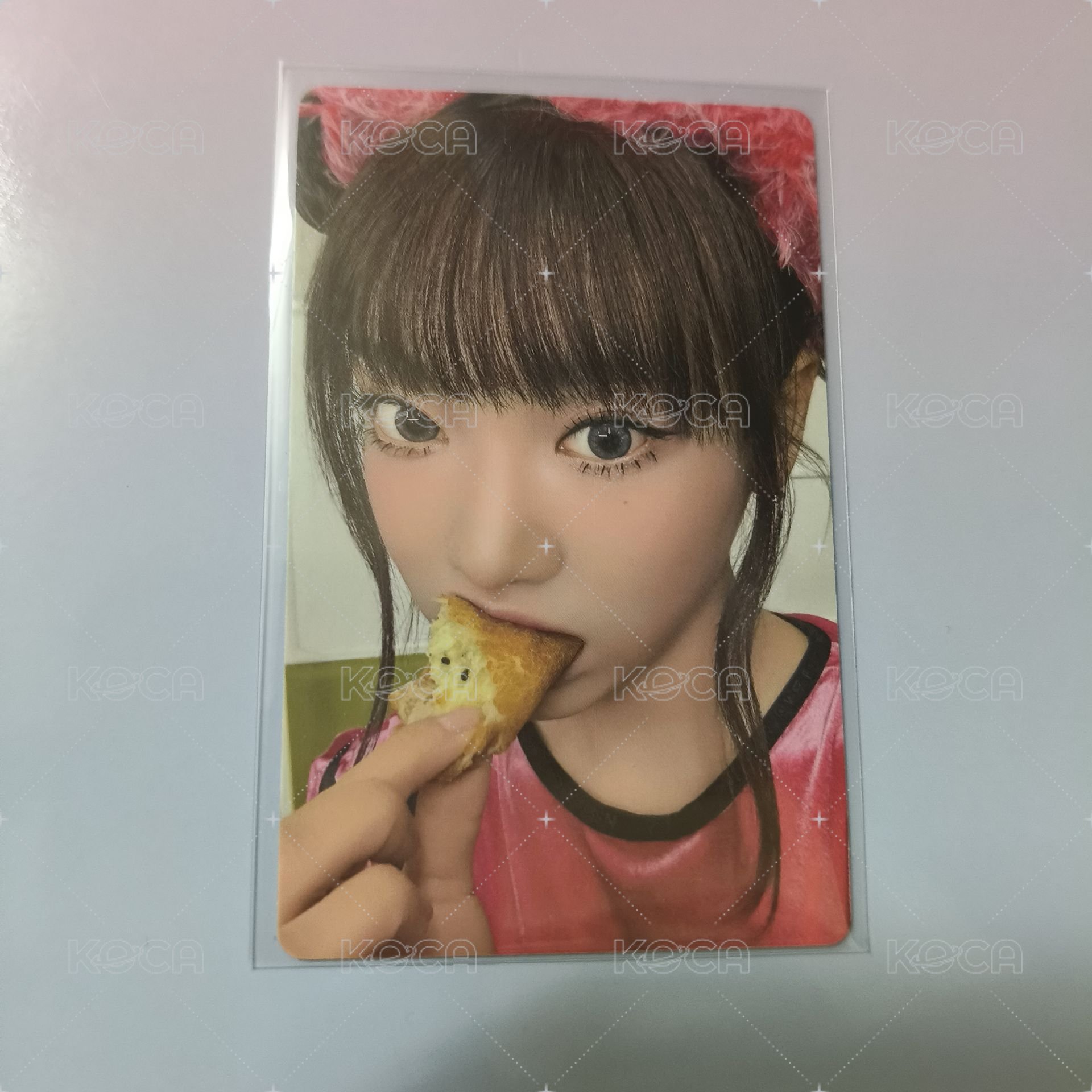 進食中的寧