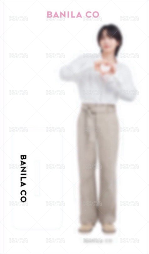 Banilaco 淨漢立牌