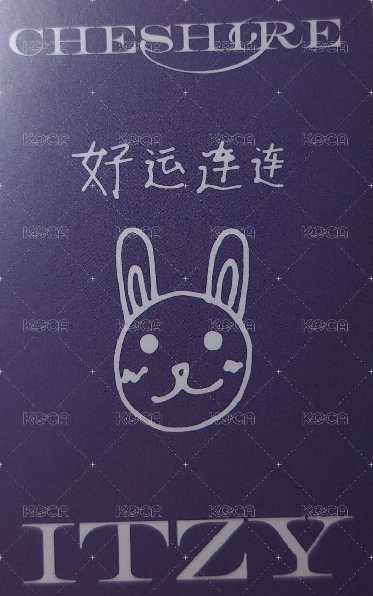CHESHIRE yzy 3.0 簽售卡  背面