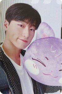 ANITEEZ IN ICE CITY 周邊卡 plush cushion