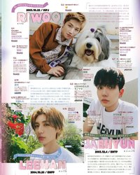 特典及內頁配置一覽