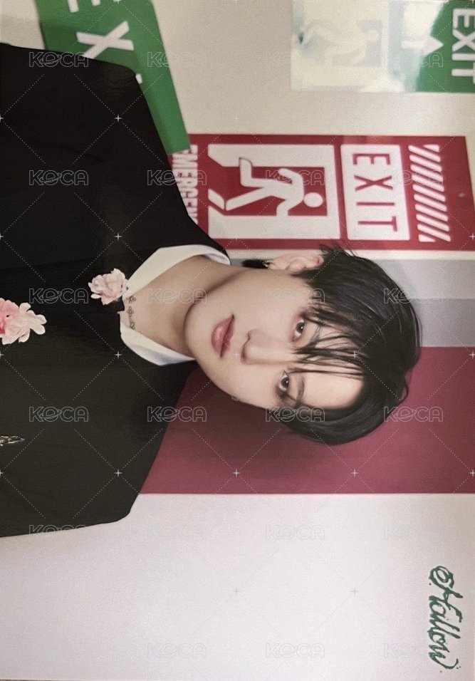 Hollow 隨機卡 大卡 正面