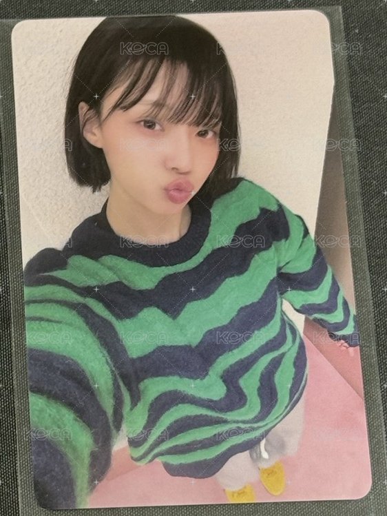 冬