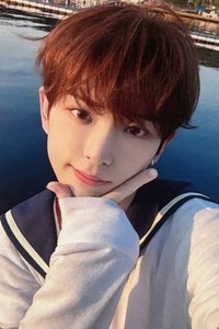 青嵐 專輯卡 通常專卡