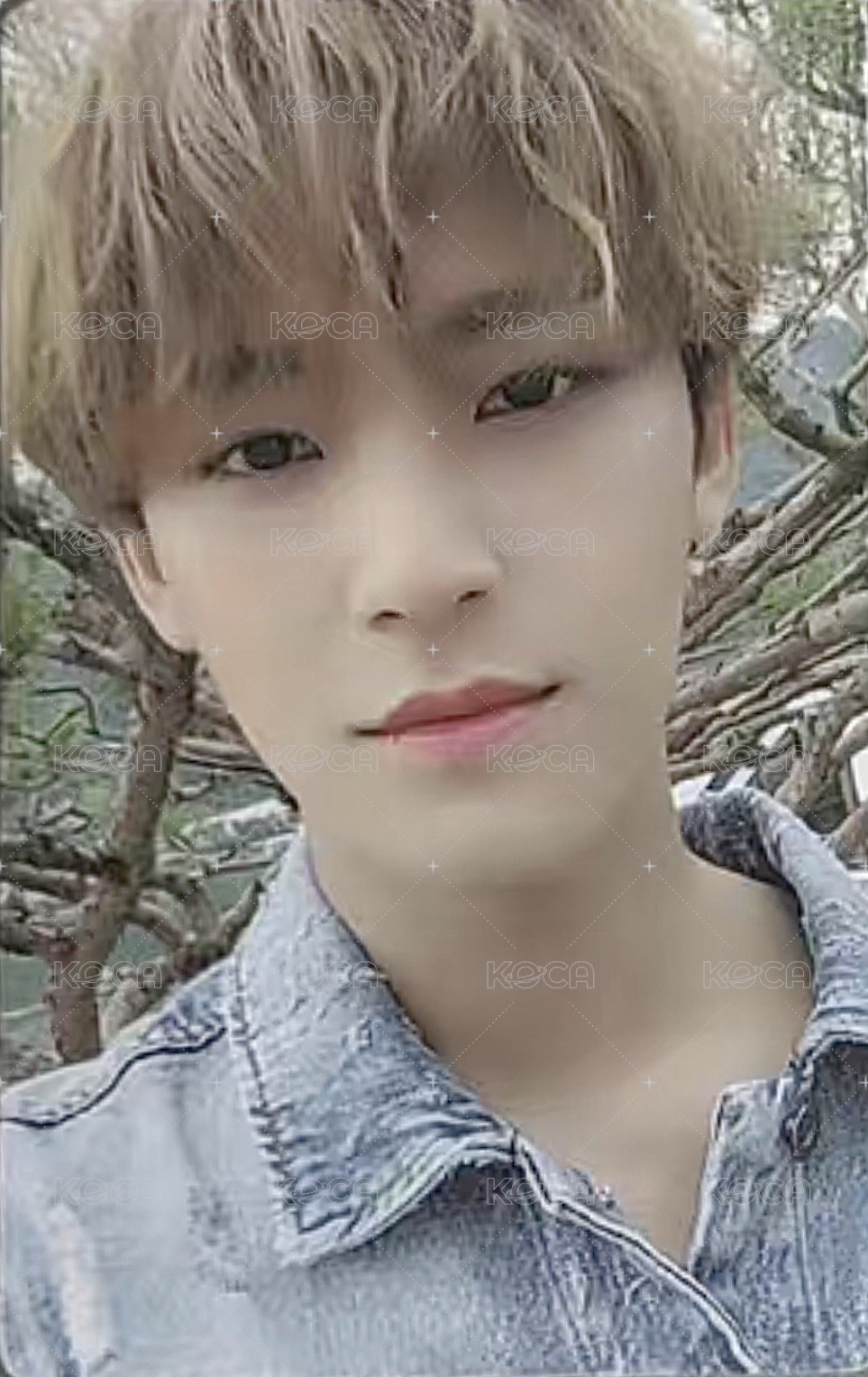 YMMD 專輯卡 MINI5｜SET THE SUN ver. 正面