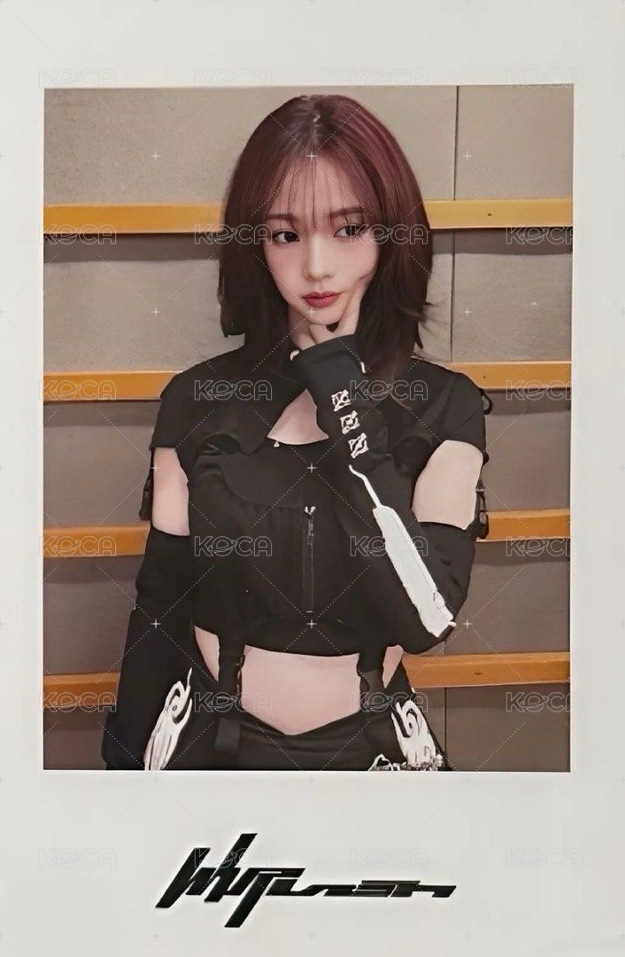 Whiplash 滿額卡 上海快閃299滿額柚 正面