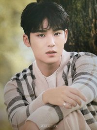 SOCIAL CLUB 明信片 檔案卡