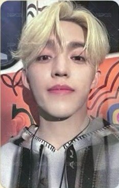 MINI11 sponge 預售 特典卡 CARAT ver 正面