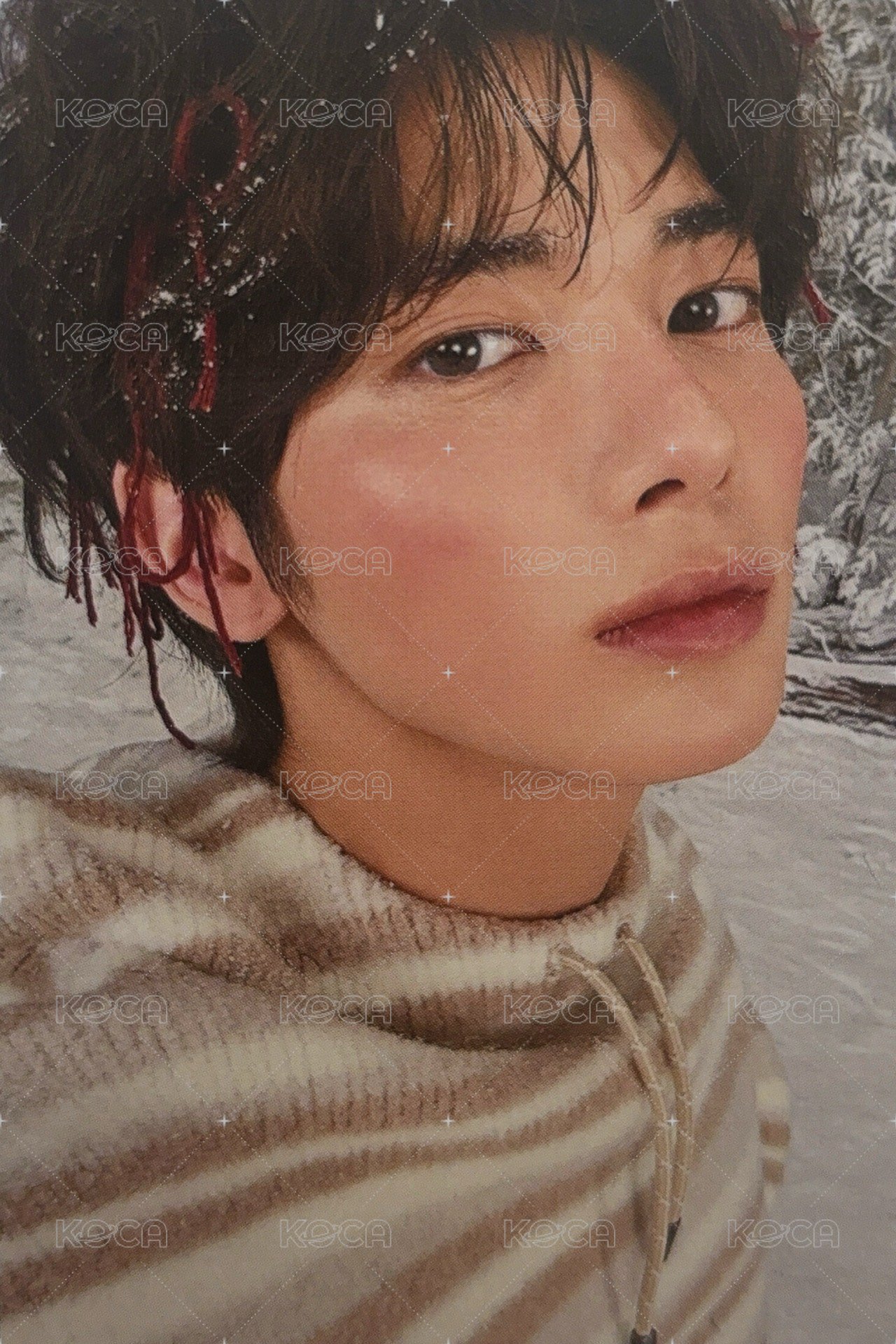 CHIKAI 誓い 專輯卡 通常 正面