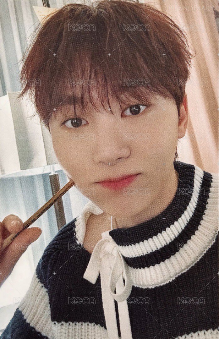 24’克拉島 演唱會 DVD / CD 卡 24‘克拉島回憶錄 DOOR ver. 正面