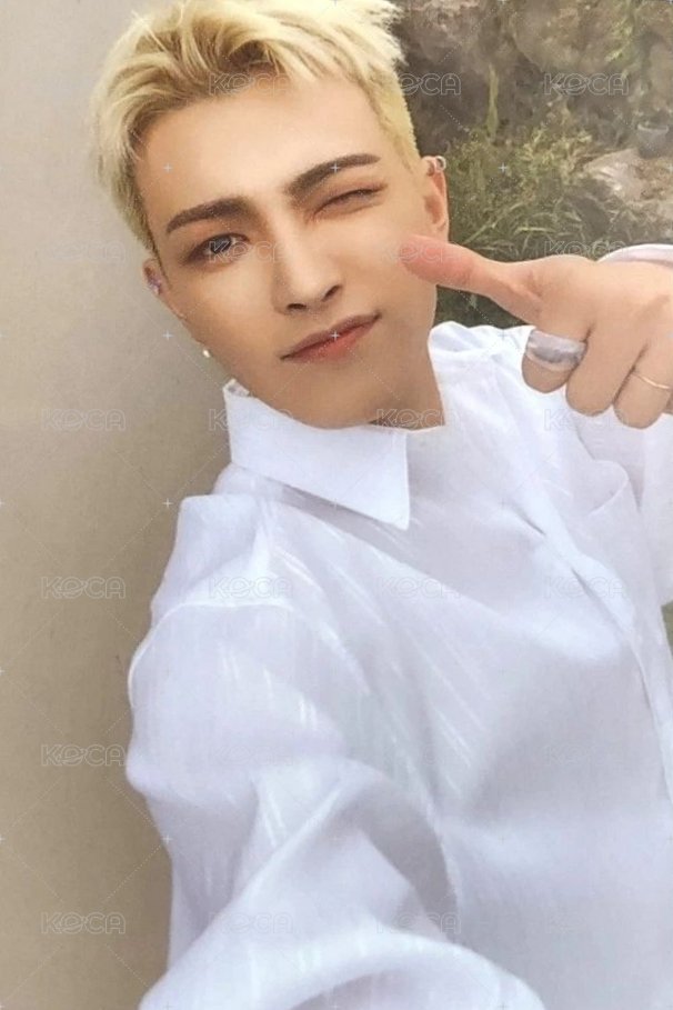 FEVER pt.3 專輯卡 Diary ver. Limited 正面