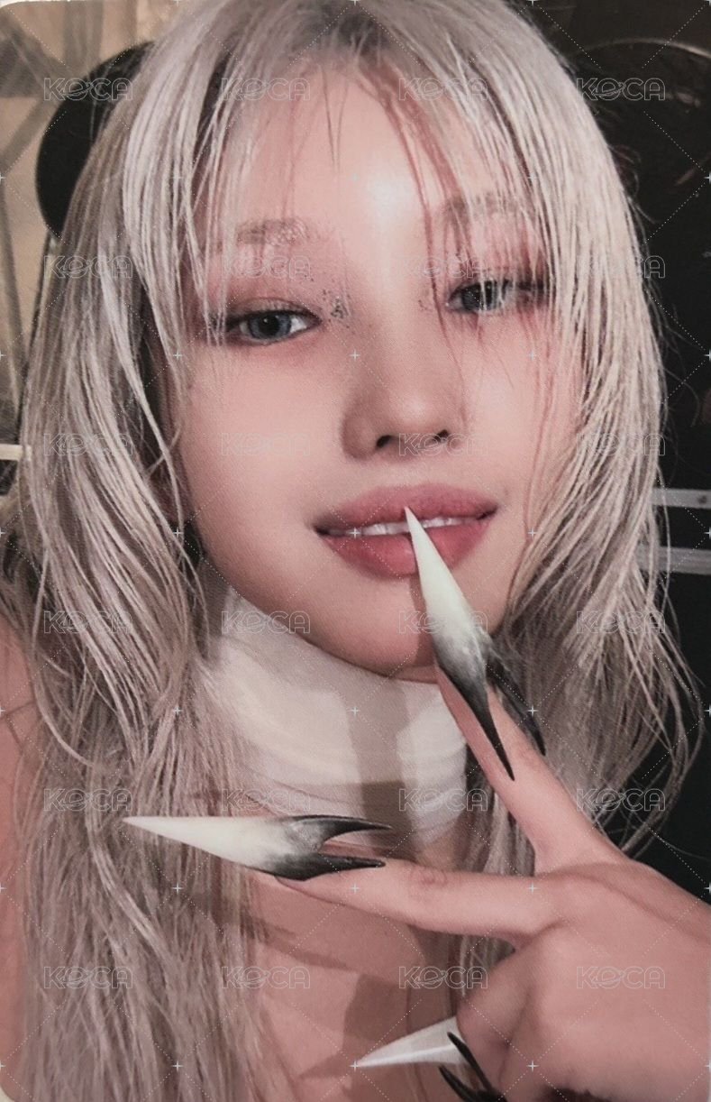 We are 專輯卡 美網 正面