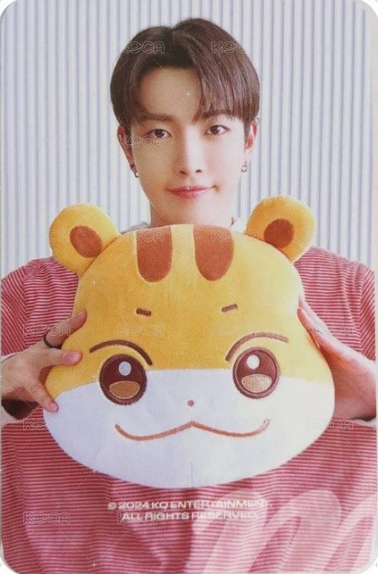 ANITEEZ IN ICE CITY 周邊卡 plush cushion 背面