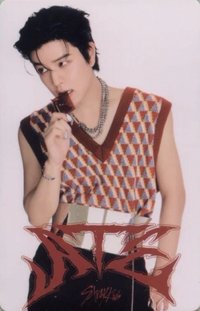 ATE 專輯卡 白版電子專固卡