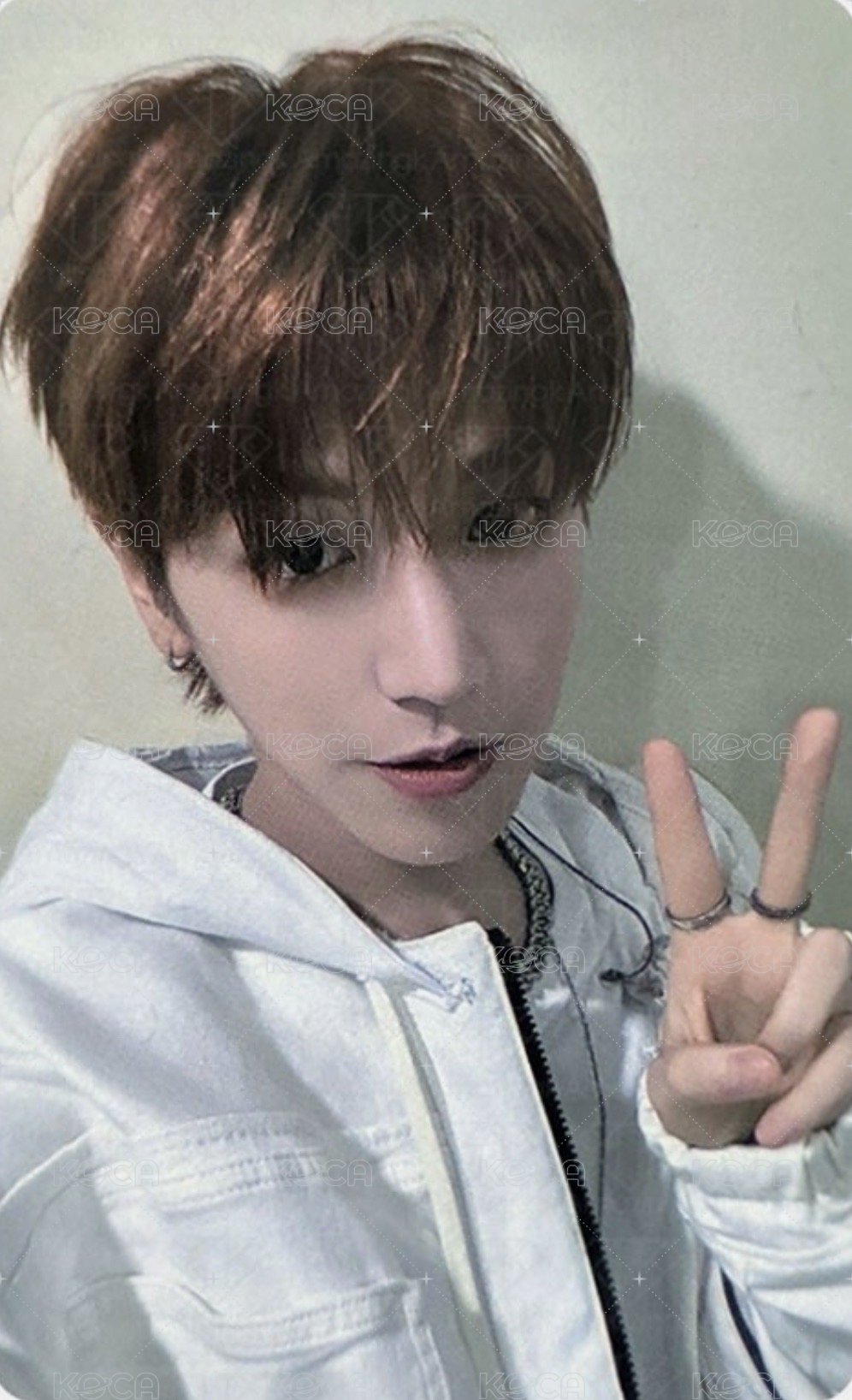 19.99 ms 特典卡 特別禮  2 正面