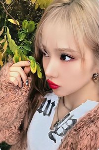 十週年專 ms 普版 特典卡 