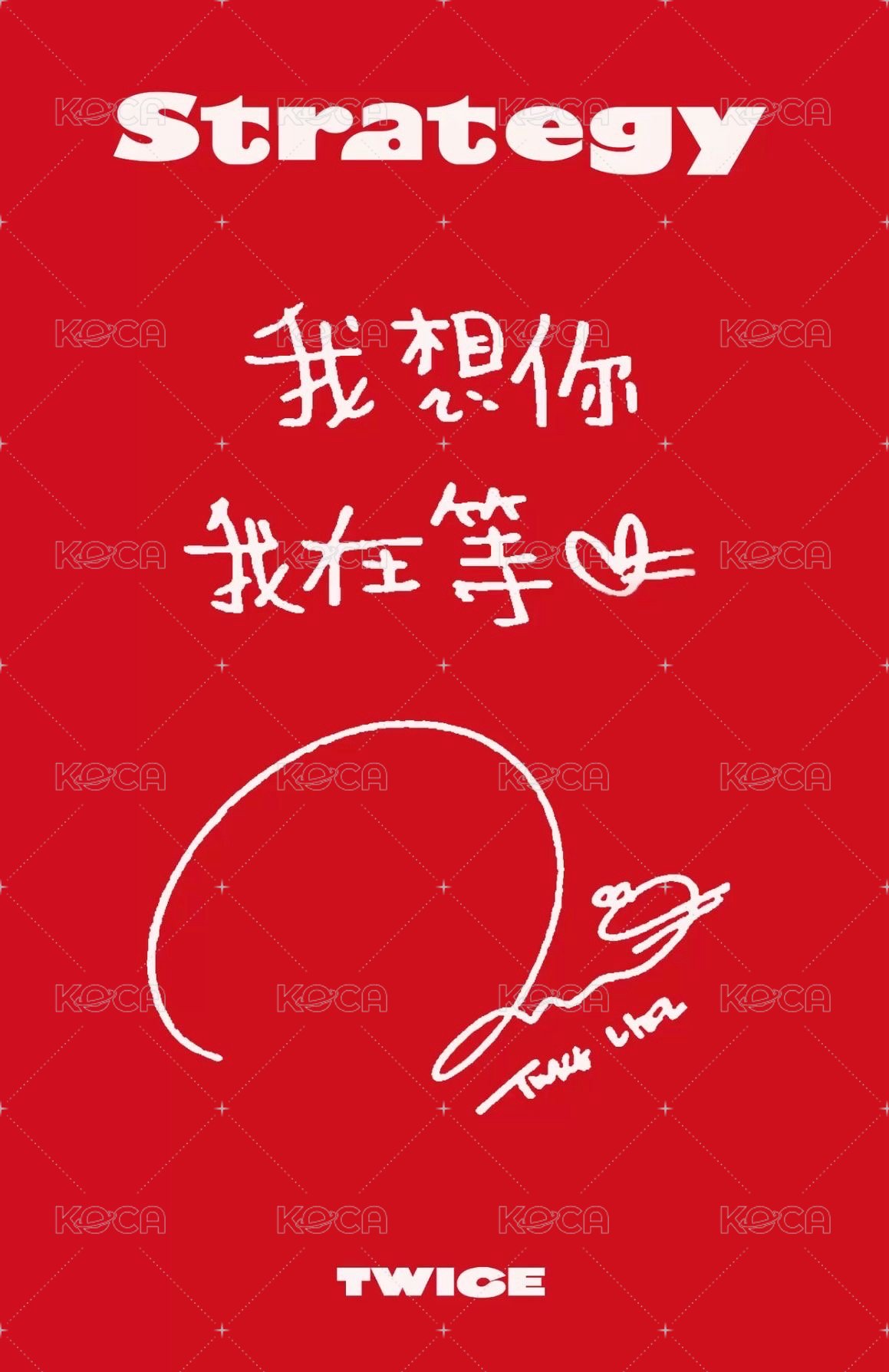 mini 14 sr 預售中文卡背 特典卡  背面