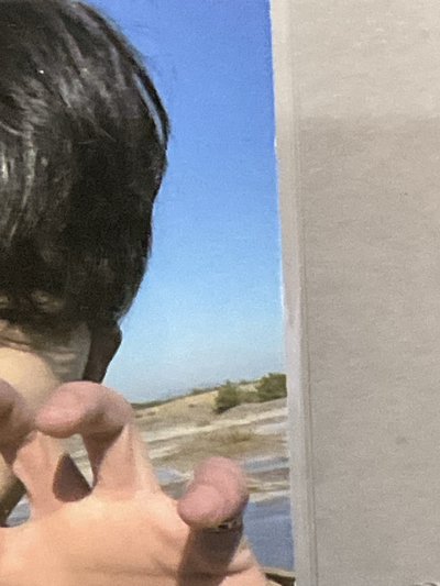 seventeen 哲 虎爪哲 ⚠️有損