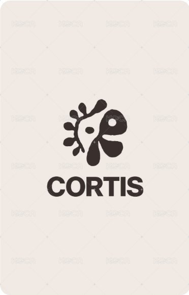 迷一 日咖 抽選卡  背面