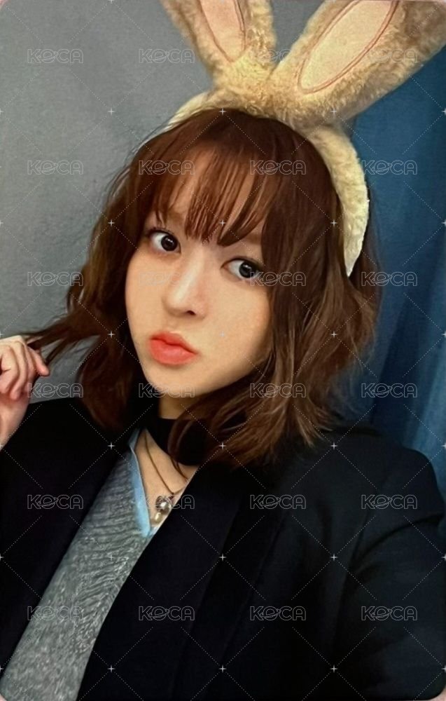 STICK OUT 數星星 5.0 抽選卡 兔子中簽 正面