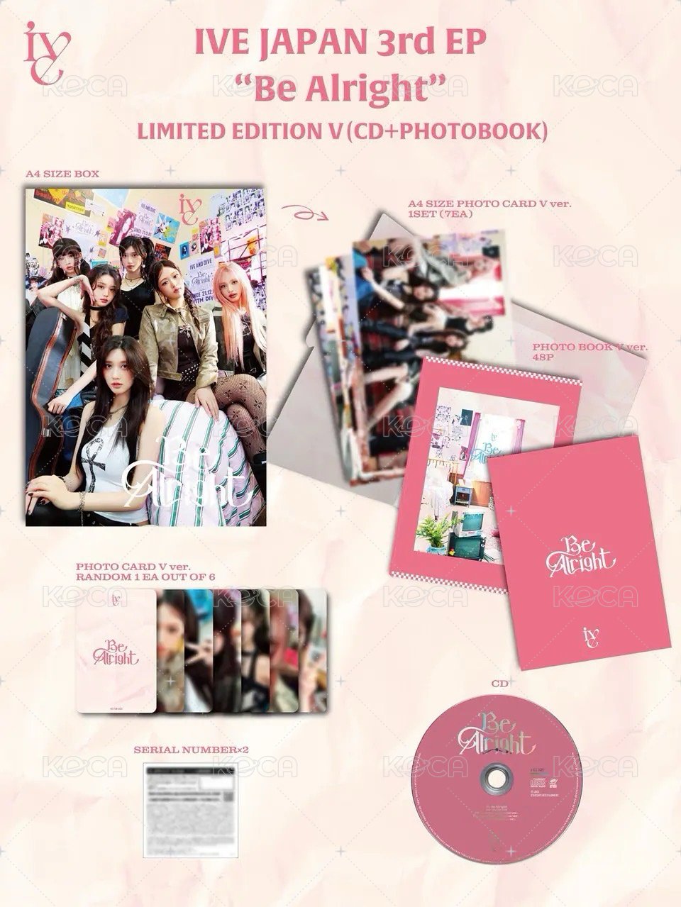 初回限定V盤