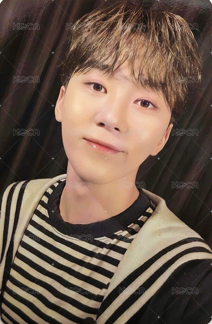 23’克拉島 演唱會 DVD / CD 卡 回憶錄 正面