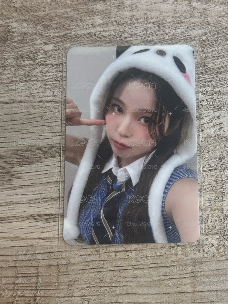 熊貓圭