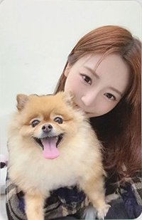 Playlist #You Are You Dreamcatcher KR. 幸運卡 PetCAM.ver