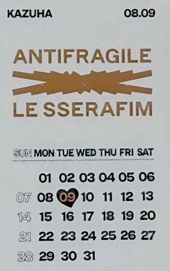 ANTIFRAGILE yes24 特典卡 生日卡背 背面