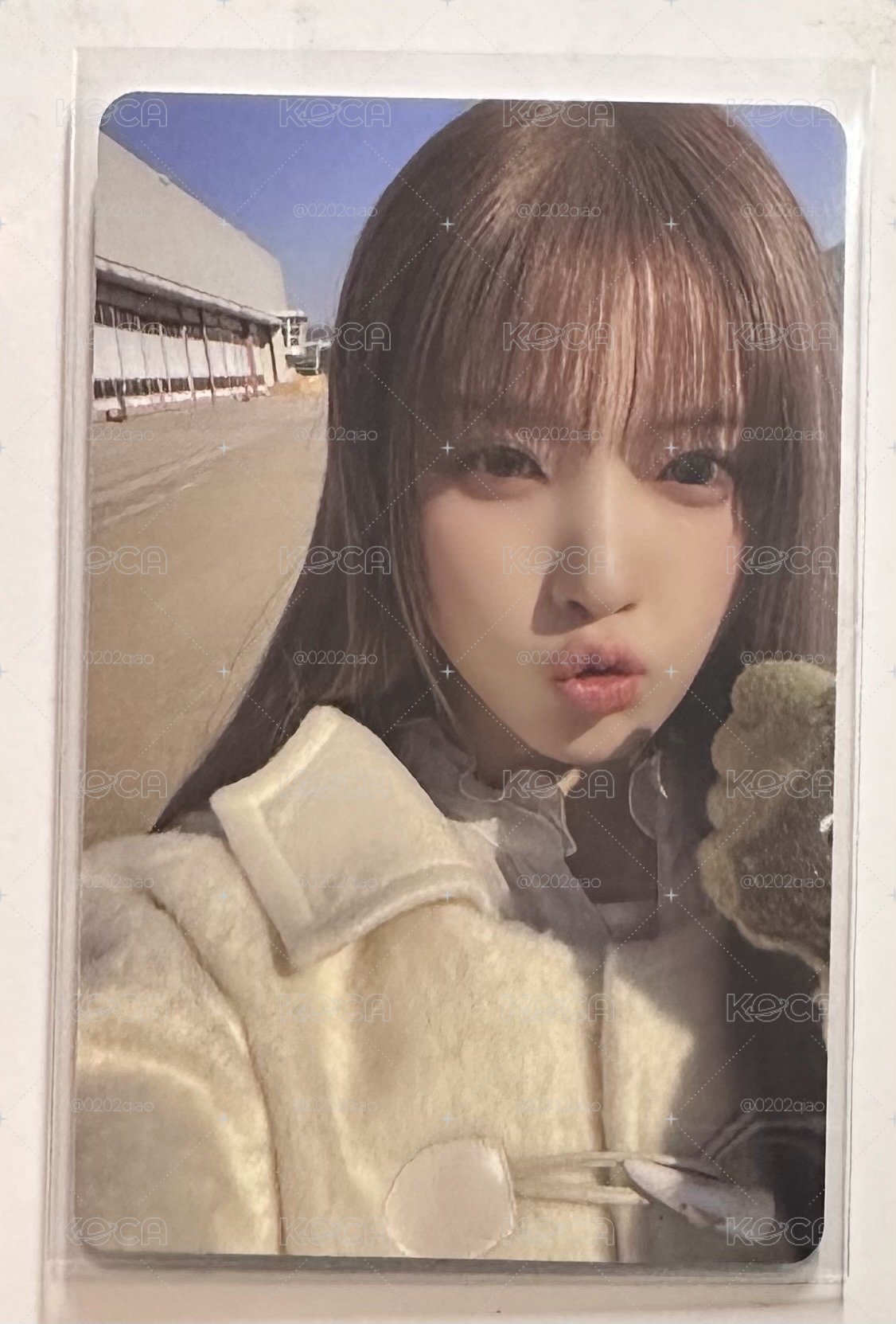 寫真友